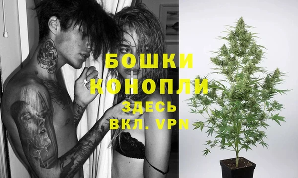 прущие крисы Арсеньев