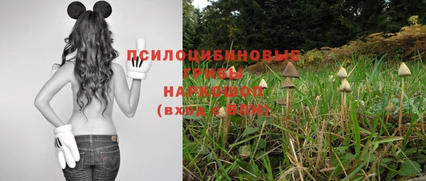прущие крисы Арсеньев